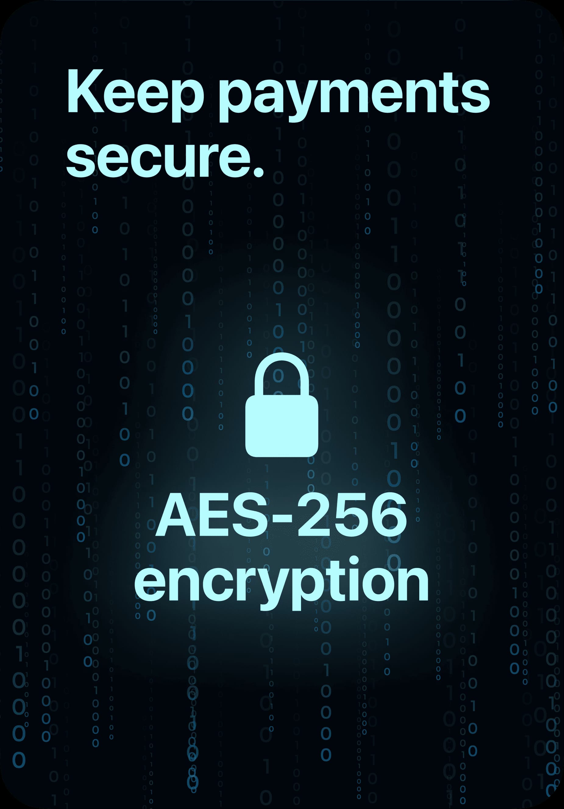 Payment security